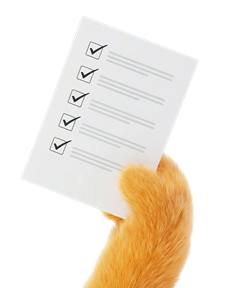 Get Your Free KYC Implementation Checklist